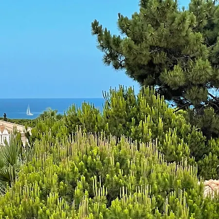 Apartamento Sunny Paradise - Sea View Albufeira